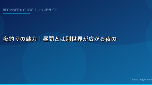 夜釣りの魅力｜昼間とは別世界が広がる夜の海