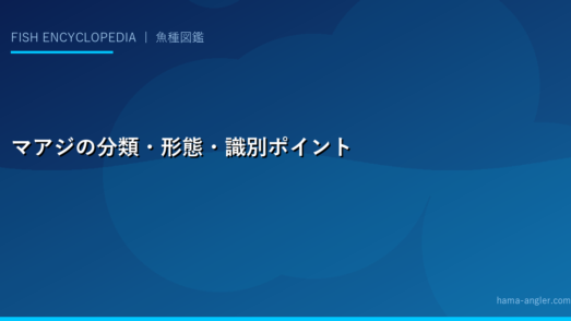 マアジの分類・形態・識別ポイント