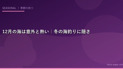 12月の海は意外と熱い｜冬の海釣りに隠された大チャンスを知っているか
