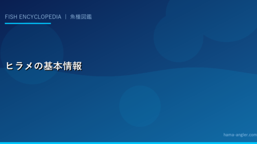 ヒラメの基本情報