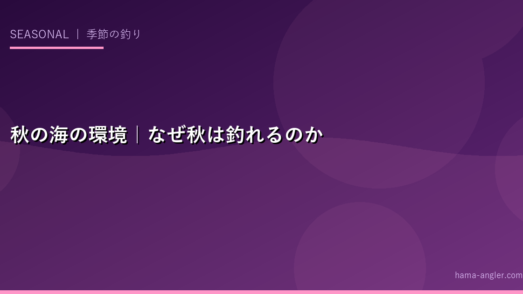 秋の海の環境｜なぜ秋は釣れるのか
