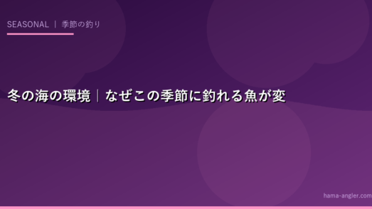 冬の海の環境｜なぜこの季節に釣れる魚が変わるのか