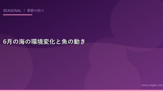 6月の海の環境変化と魚の動き