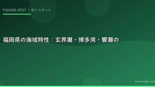 福岡県の海域特性｜玄界灘・博多湾・響灘の違いを知る