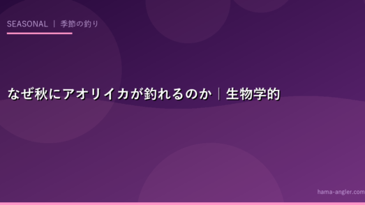 なぜ秋にアオリイカが釣れるのか｜生物学的メカニズム