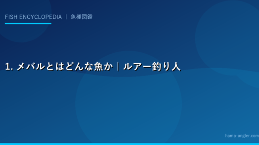 1. メバルとはどんな魚か｜ルアー釣り人気の根魚