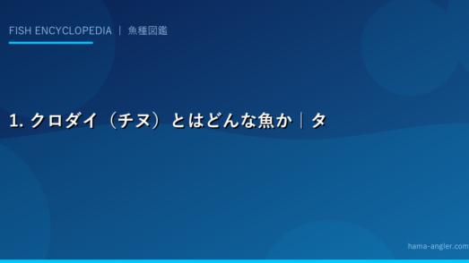 1. クロダイ（チヌ）とはどんな魚か｜タイ科の黒い王者の基本情報