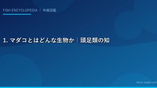 1. マダコとはどんな生物か｜頭足類の知性と生態の謎