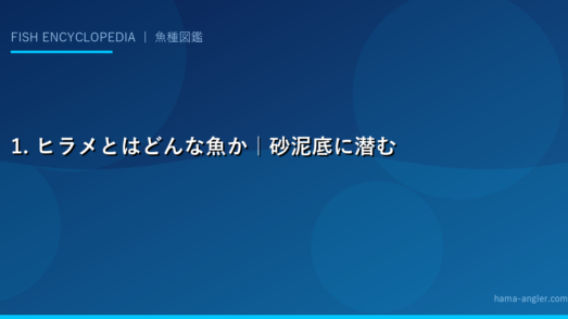 1. ヒラメとはどんな魚か｜砂泥底に潜む白身魚の王者