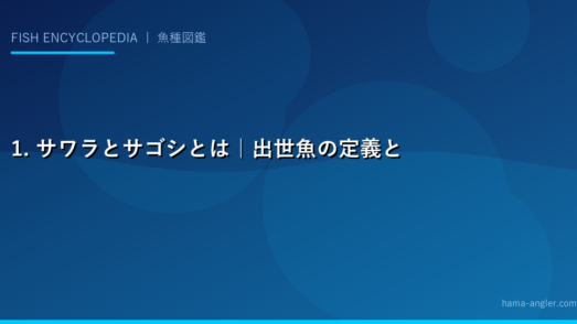1. サワラとサゴシとは｜出世魚の定義と成長段階ごとの名前
