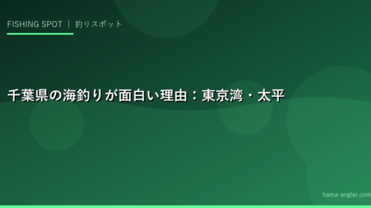 千葉県の海釣りが面白い理由：東京湾・太平洋・内房・外房4つのエリア