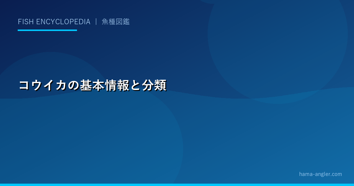 コウイカの基本情報と分類