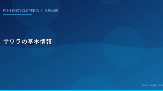 サワラの基本情報
