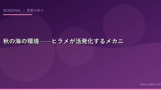 秋の海の環境——ヒラメが活発化するメカニズム