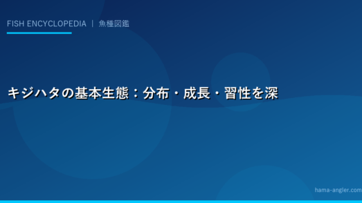 キジハタの基本生態：分布・成長・習性を深く理解する