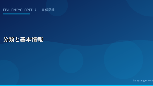 分類と基本情報