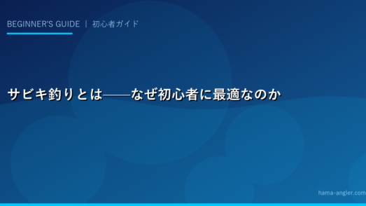 サビキ釣りとは——なぜ初心者に最適なのか
