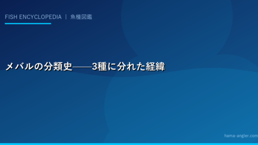 メバルの分類史——3種に分れた経緯