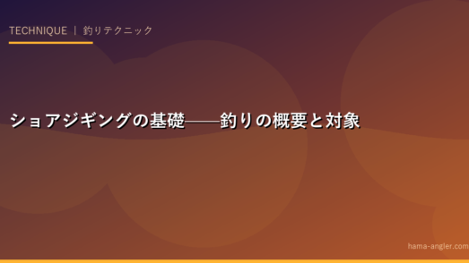 ショアジギングの基礎——釣りの概要と対象魚