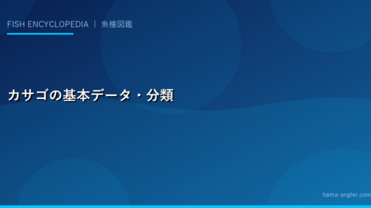 カサゴの基本データ・分類