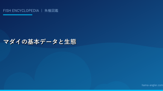 マダイの基本データと生態