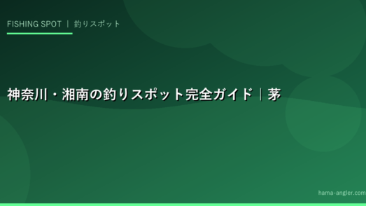 神奈川・湘南の釣りスポット完全ガイド｜茅ヶ崎・平塚・小田原・真鶴の人気釣り場