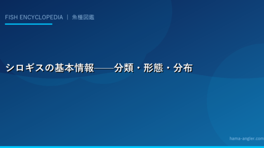 シロギスの基本情報——分類・形態・分布