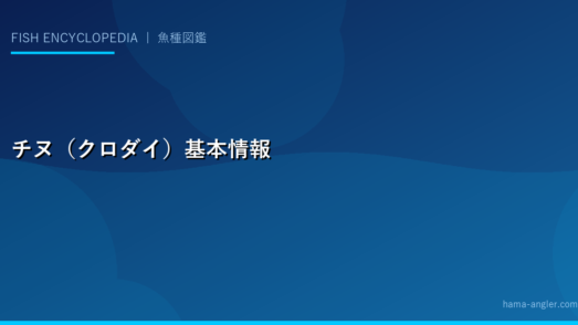 チヌ（クロダイ）基本情報
