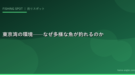 東京湾の環境——なぜ多様な魚が釣れるのか