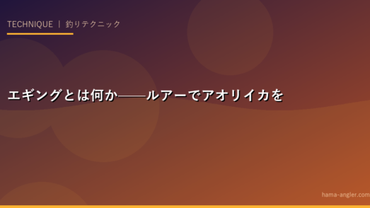 エギングとは何か——ルアーでアオリイカを狙う釣り