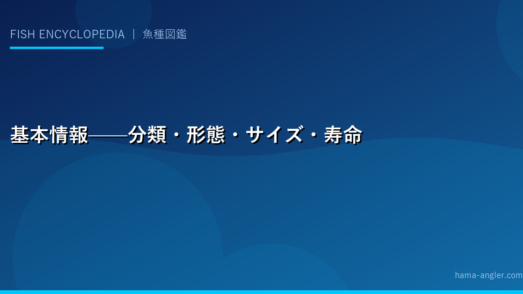 基本情報——分類・形態・サイズ・寿命