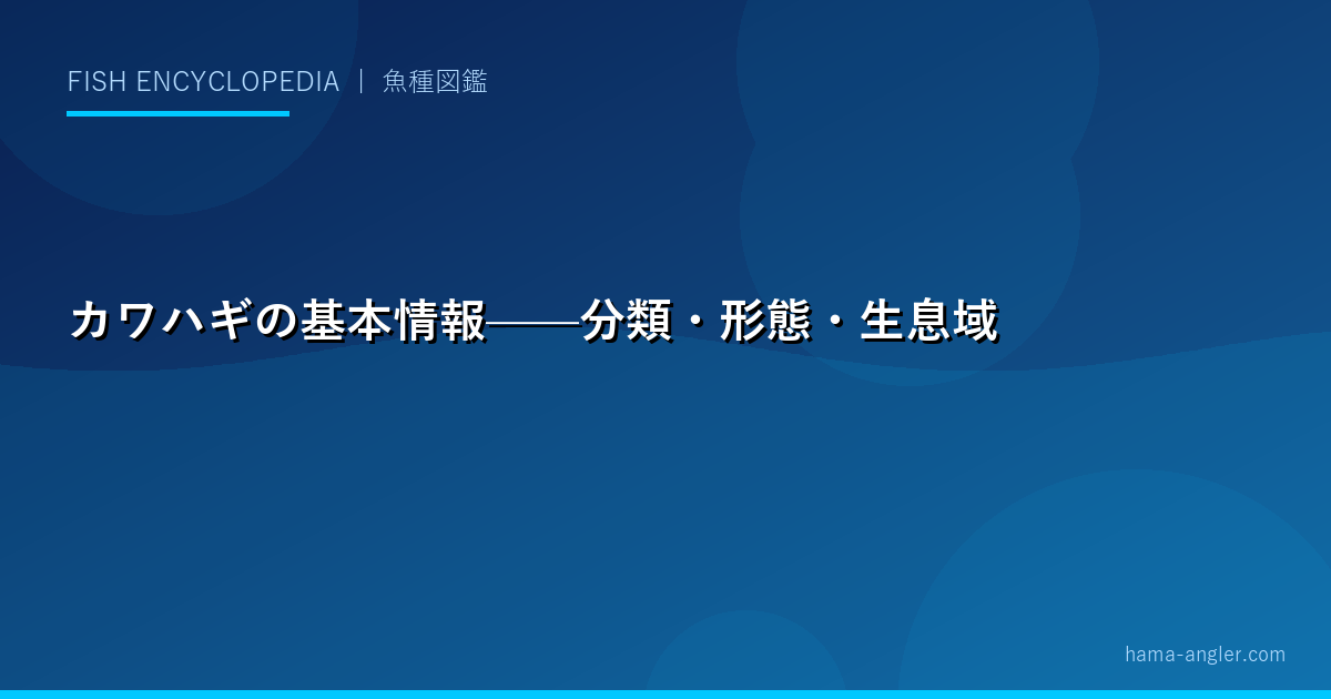 カワハギの基本情報——分類・形態・生息域