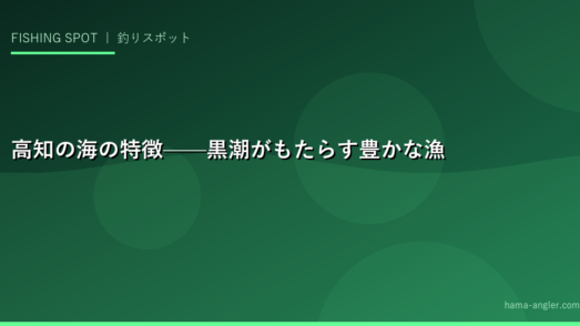 高知の海の特徴——黒潮がもたらす豊かな漁場