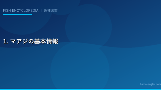 1. マアジの基本情報