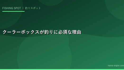クーラーボックスが釣りに必須な理由