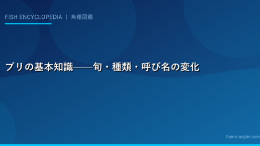 ブリの基本知識——旬・種類・呼び名の変化