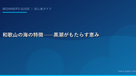 和歌山の海の特徴——黒潮がもたらす恵み