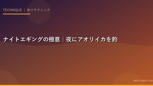 ナイトエギングの極意｜夜にアオリイカを釣るための完全攻略テクニック