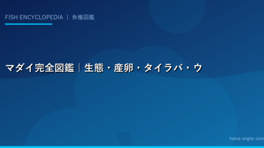 マダイ完全図鑑｜生態・産卵・タイラバ・ウキフカセ・食べ方まで「鯛の王様」を徹底解説