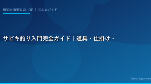 サビキ釣り入門完全ガイド｜道具・仕掛け・釣り方・コツまで初心者が最初に覚えるべき全てを解説
