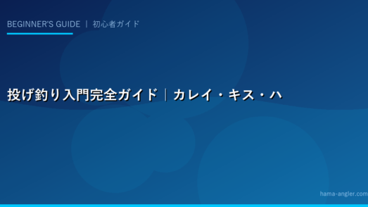 投げ釣り入門完全ガイド｜カレイ・キス・ハゼを狙う初心者向けタックル・仕掛け・投げ方・釣り場選びを徹底解説