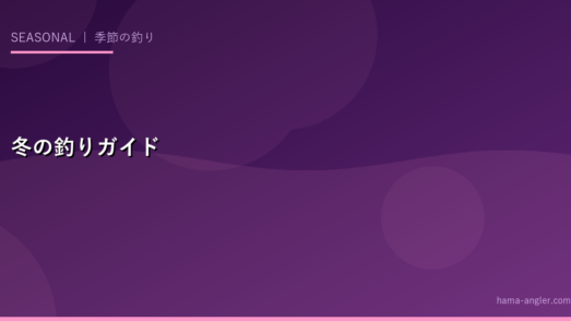 冬の釣り完全ガイド（12〜2月）｜浜名湖・遠州灘の冬シーズン魚種と防寒対策を徹底解説