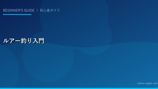ルアー釣り入門完全ガイド｜初心者が最初に覚えるべきルアーの種類・使い方・タックル選び