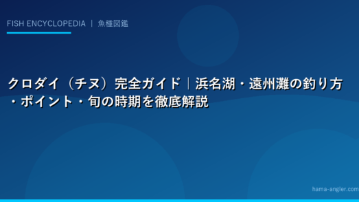 クロダイ（チヌ）完全ガイド｜浜名湖・遠州灘の釣り方・ポイント・旬の時期を徹底解説