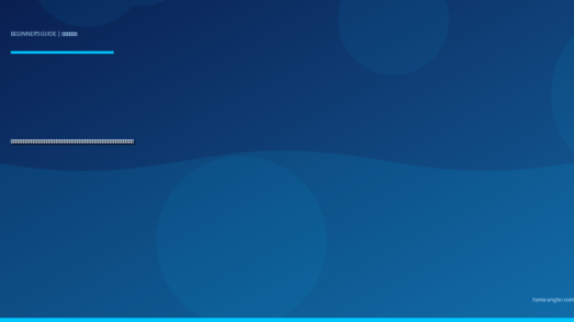 穴釣り入門完全ガイド｜浜名湖のテトラポッドで根魚を狙う道具・仕掛け・探り方を初心者向けに徹底解説