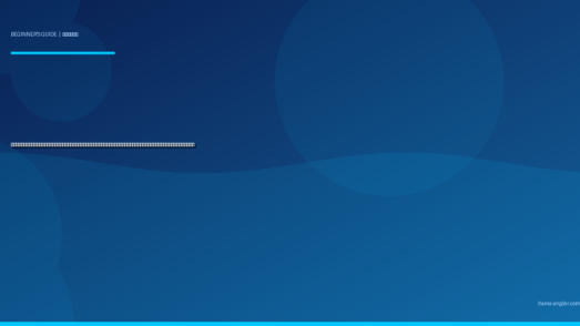 オモリ（錘・シンカー）の種類・号数・使い方入門完全ガイド｜浜名湖・遠州灘で初心者が仕掛けを狙いのタナへ届ける重さ・形状・素材の選び方を徹底解説