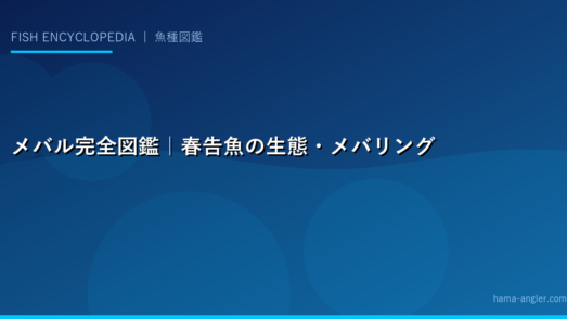 メバル完全図鑑｜春告魚の生態・メバリング・ウキ釣り・夜釣り攻略・料理まで徹底解説