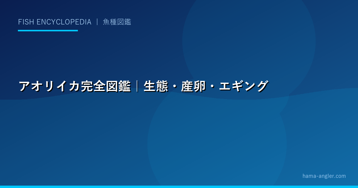 アオリイカ完全図鑑｜生態・産卵・エギング・ヤエン釣り・料理まで「秋イカ」を徹底解説