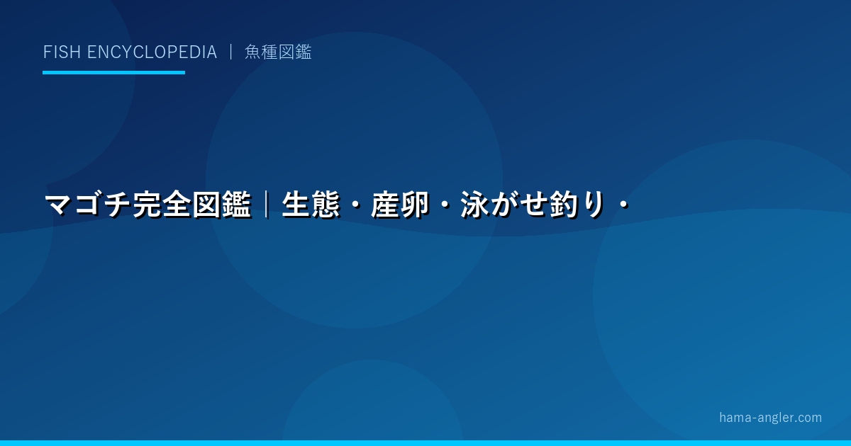 マゴチ完全図鑑｜生態・産卵・泳がせ釣り・ルアー・料理まで「夏の高級魚」を徹底解説