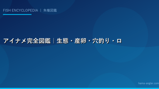 アイナメ完全図鑑｜生態・産卵・穴釣り・ロックフィッシュゲーム・料理まで「冬の根魚」を徹底解説